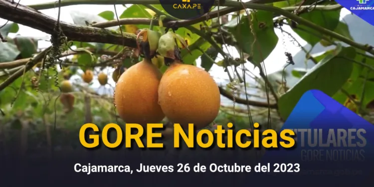 GORE Noticias Cajamarca, Jueves 26 de Octubre del 2023 | CaxaPe