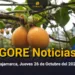 GORE Noticias Cajamarca, Jueves 26 de Octubre del 2023 | CaxaPe