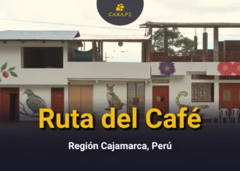 Conoce la Ruta del Café en la Región Cajamarca