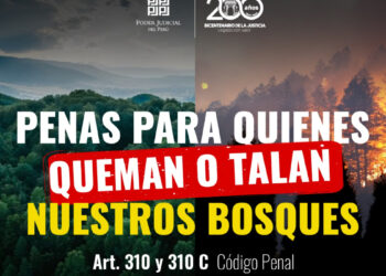 Penas para quienes quemen o talen nuestros bosques