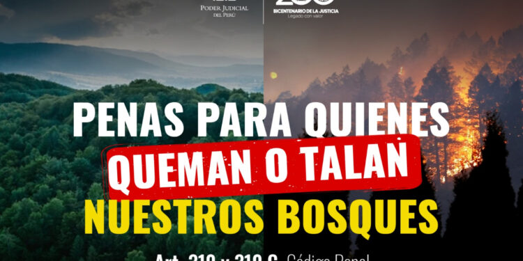 Penas para quienes quemen o talen nuestros bosques