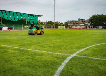 Gramado de calidad en el Víctor Montoya Segura, Jaén, 21/11/2024