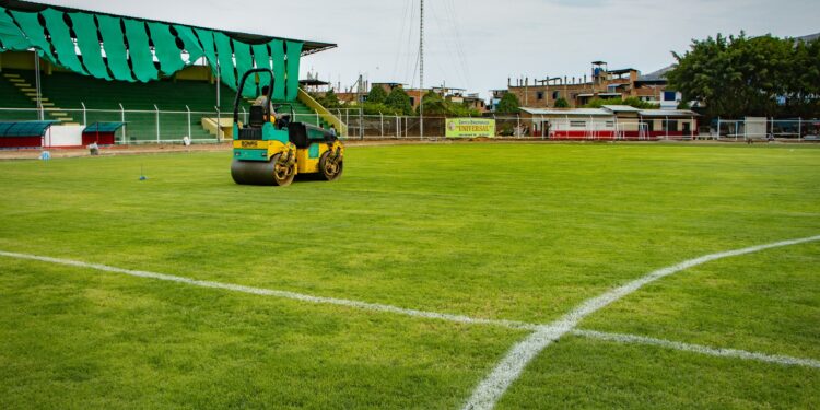 Gramado de calidad en el Víctor Montoya Segura, Jaén, 21/11/2024