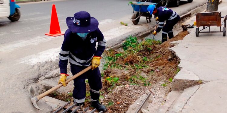 MPC realiza limpieza de cunetas y deshierbo en vía de evitamiento sur, 11/12/2024, Cajamarca.