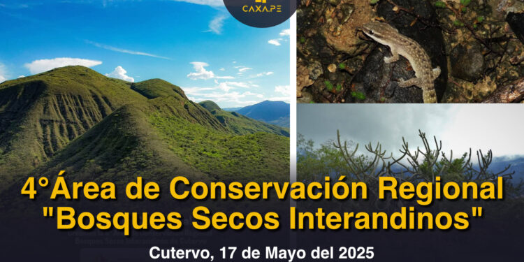 Cajamarca, I Audiencia Pública 2025 del Gobierno Regional