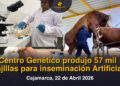 Centro Genético produjo 57 mil pajillas para inseminación Artificial 