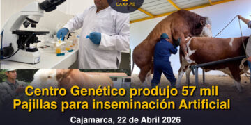 Centro Genético produjo 57 mil pajillas para inseminación Artificial 